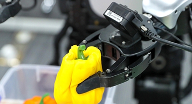 山东青岛:人形机器人“实训”忙